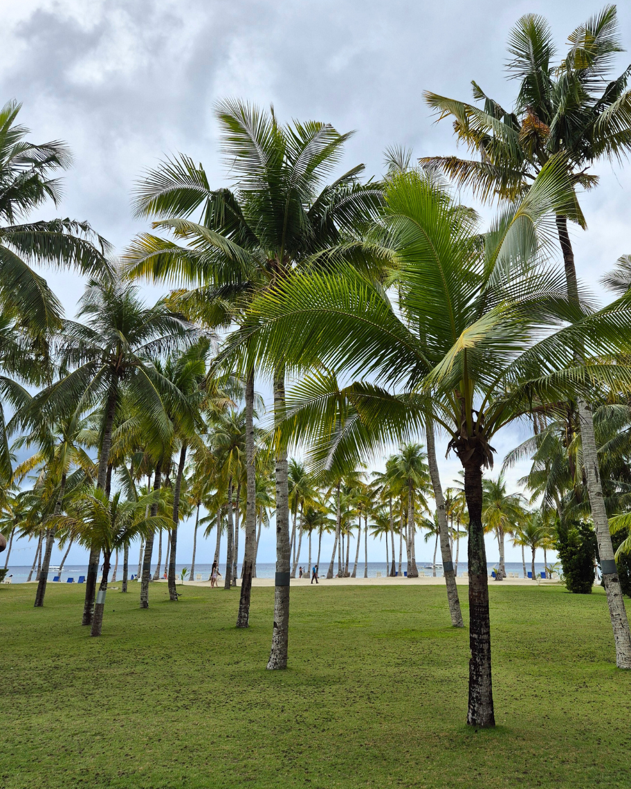 Bohol Beach Club: A Tranquil & Dreamy Beachfront Stay in Panglao